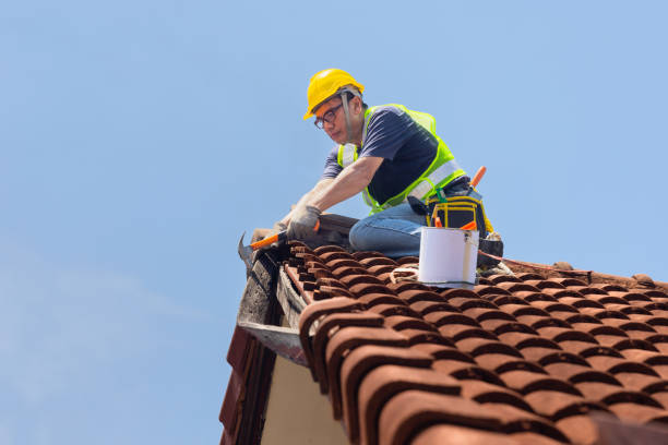 Best Solar Panel Roofing Installation  in Valenti, NE